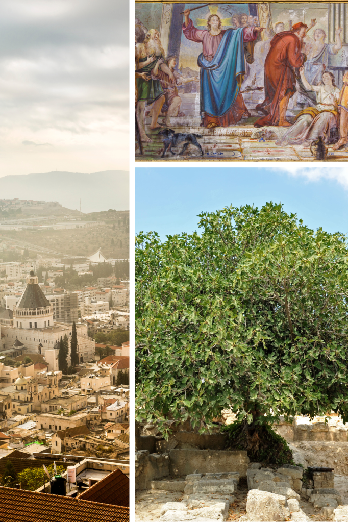 fig tree, Jesus cleansing the temple, Jerusalem