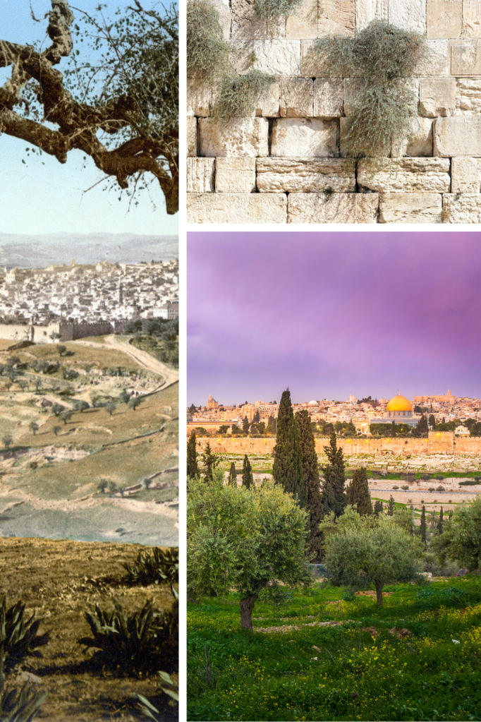 Jerusalem, temple, Mount of Olives, wall