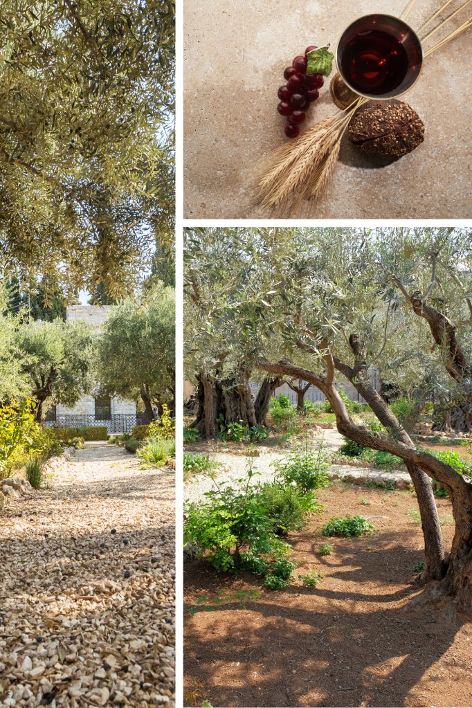 Mount of Olives, Garden of Gethsemane, The Last Supper, The Passover, New Covenant