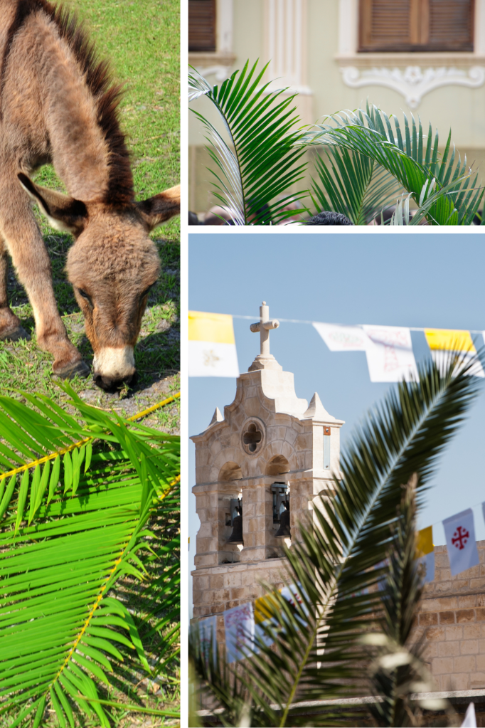 Palm Sunday, donkey, palm leaves